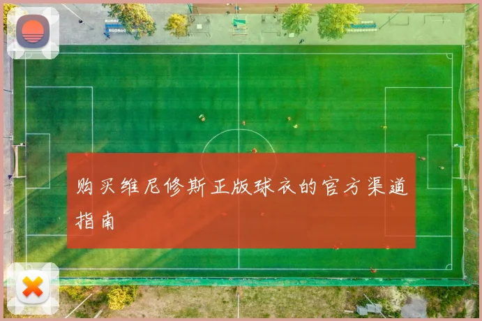 购买维尼修斯正版球衣的官方渠道指南