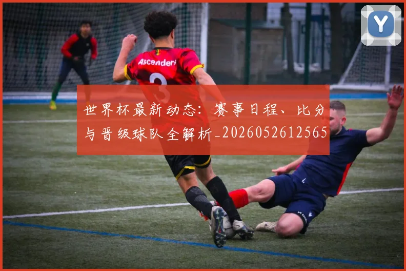 世界杯最新动态:赛事日程、比分与晋级球队全解析_20260526125656